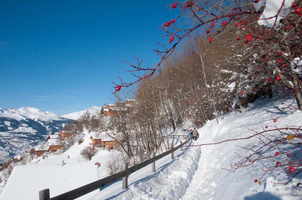 Greppons Cosy & Mountain Apartments By Alpvision Residences Veysonnaz Exteriér fotografie